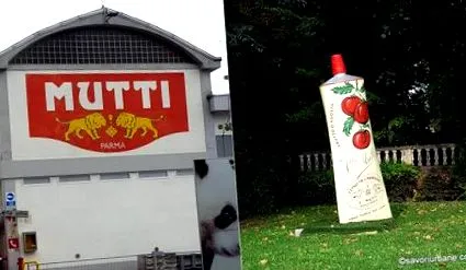 paprikát