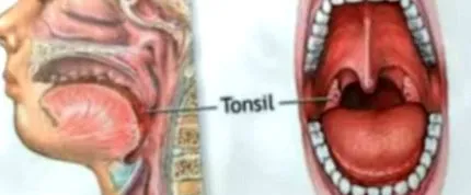 медичні