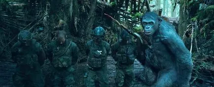Körülbelül a film nyári Körülbelül a film nyári