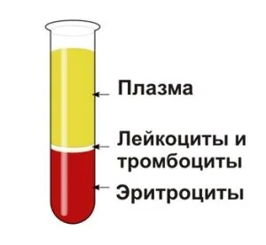 vörösvértest ülepedési sebessége, mi ez vörösvértest ülepedési sebessége, mi ez