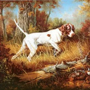 pointer kutya