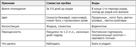 Hogyan kell értenünk, hogy a dugó eltávozott Hogyan kell értenünk, hogy a dugó eltávozott