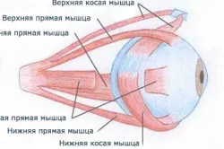 Mi cyclospasm