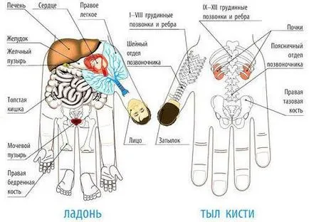 Sudzhok otthoni terápia