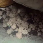 Mi a különbség a farmer Mi a különbség a farmer