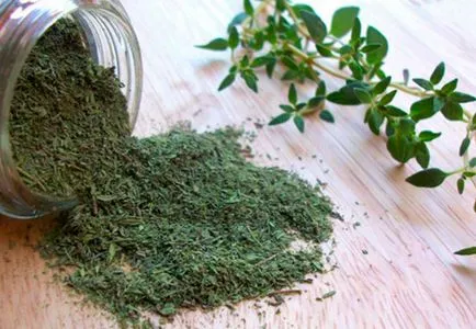 Kakukkfű, mint a fűszerezés Kakukkfű, mint a fűszerezés