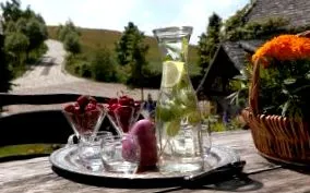 tavaszi bratu