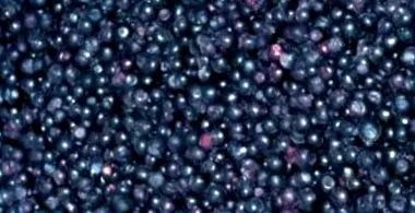 antioxidáns antioxidáns
