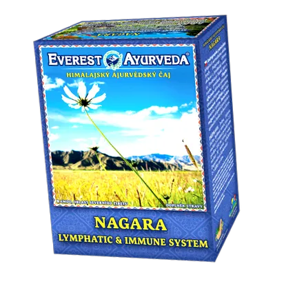 everest