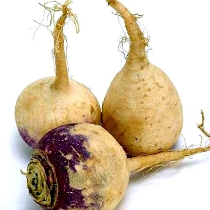 близький родич