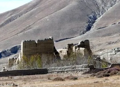 néhány mustang