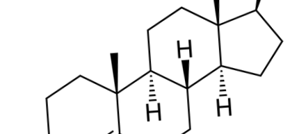 tanulmány