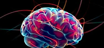 neuronok tanulásban