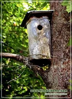 Crafts kezük log
