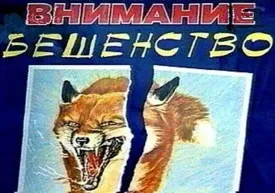 Ha megharapott egy macska