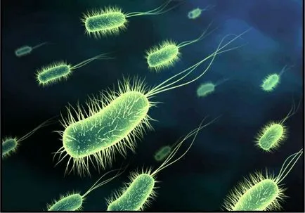 Mi takoe ureaplazma