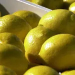 Ahogy mumifikálódott