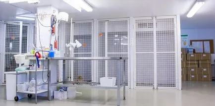 Veterinärklinik kutyák
