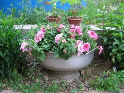 virágcserép