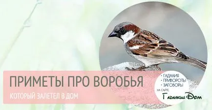 Mi repül a veréb