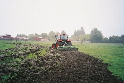 Alignment oldalon saját kezűleg