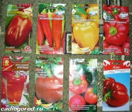 Hogyan növény paprika