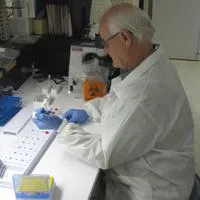 Hogyan lehet javítani a süllyedés az elemzésekben