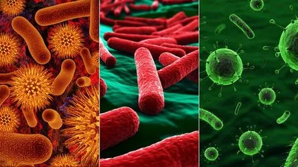 Hogyan és mit idült pyelonephritis
