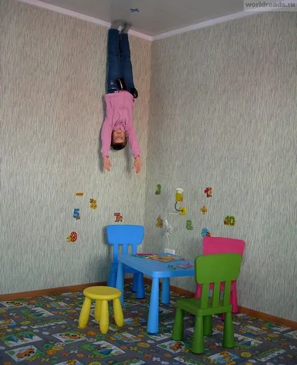 Lógnak fejjel lefelé