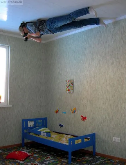Lógnak fejjel lefelé