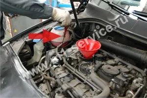 Hogyan változik az olaj Volkswagen