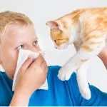 Virág nélkül allergia Virág nélkül allergia