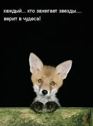 Idézetek a szerelemről és a házasságról