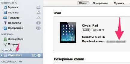 Hogyan lehet aktiválni a ipad