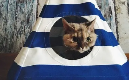 Ön bérelt lakás vagy