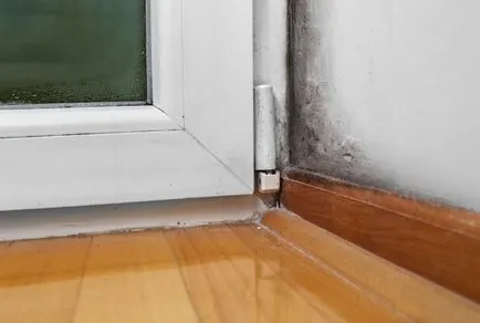 Ön bérelt lakás vagy