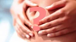 Mi endometrium szekréciós fázisban Mi endometrium szekréciós fázisban