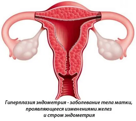 Mi endometrium szekréciós fázisban Mi endometrium szekréciós fázisban