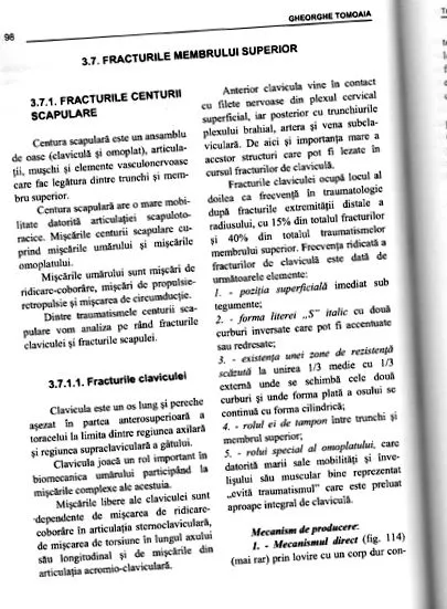 svájci ízület