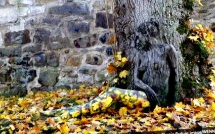 гений разреши