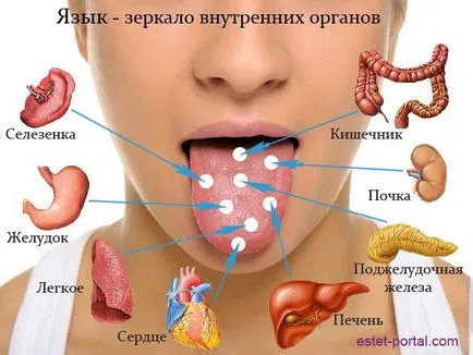 Nyelv miért felelős Nyelv miért felelős