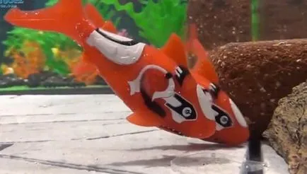 Halak, mint a nappali Halak, mint a nappali