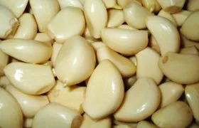 Milyen gyorsan húzza a fokhagyma