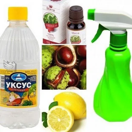 Hogyan lehet megszabadulni a pókhálók