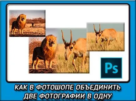 Csakúgy, mint a két kép, hogy egy