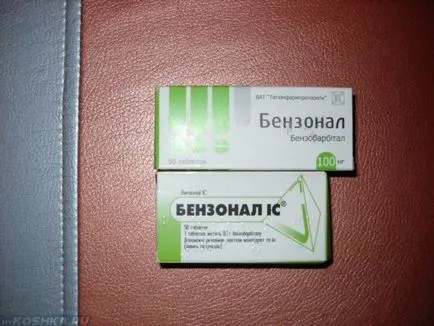 epilepsziás kutyák epilepsziás kutyák