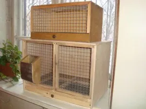 Nyúl hutches kezüket rajz