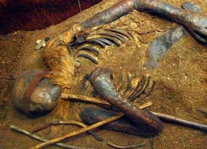 корпус