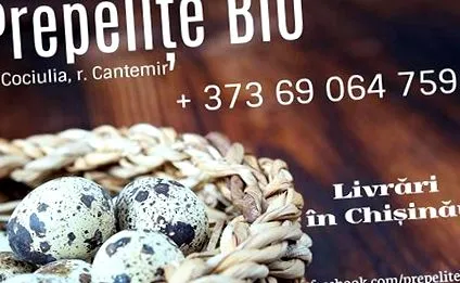семиња