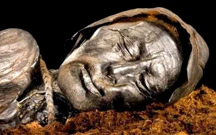 корпус